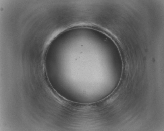 X0000076401367200610202119