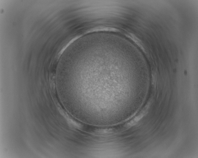 X0000076401369200610202119