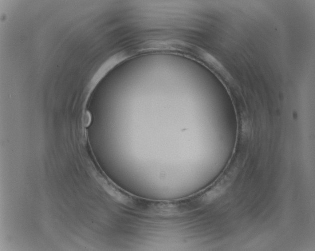 X0000076401370200610202119