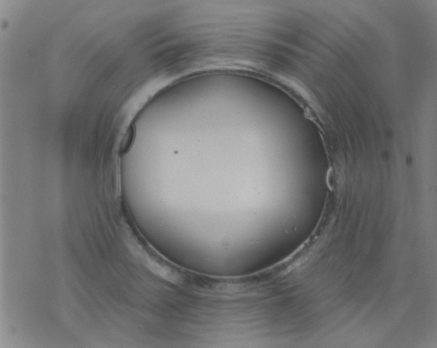 X0000076401371200610202119