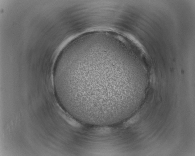 X0000076401372200610202119