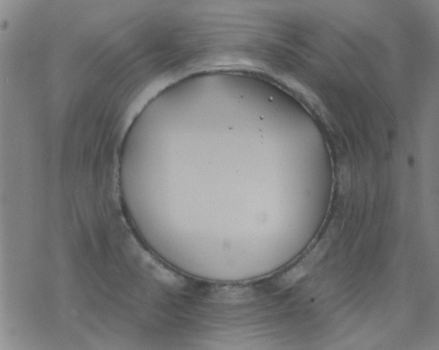 X0000076401374200610202119