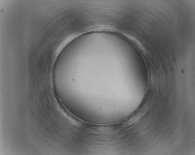 X0000076401375200610202119