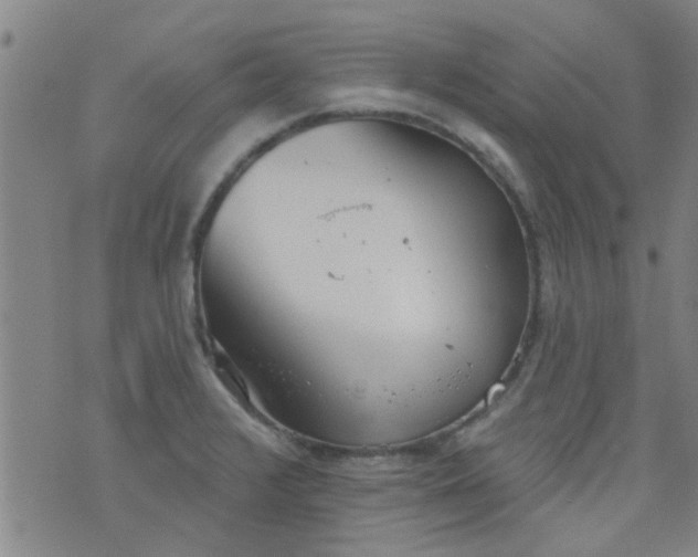 X0000076401376200610202119