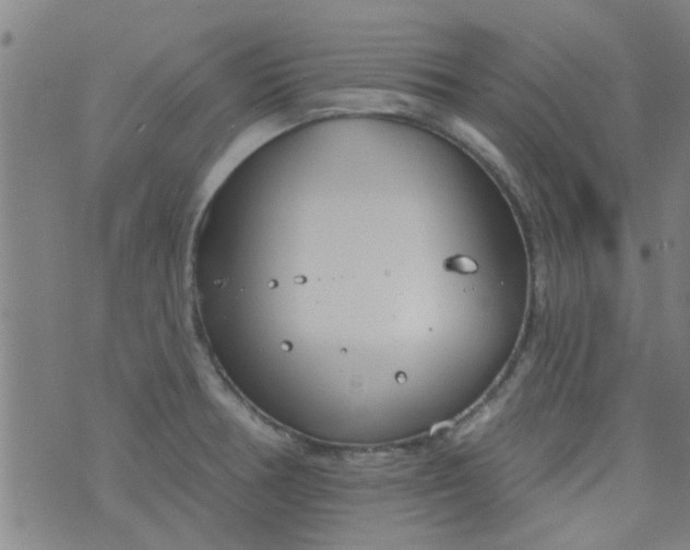 X0000076401378200610202119