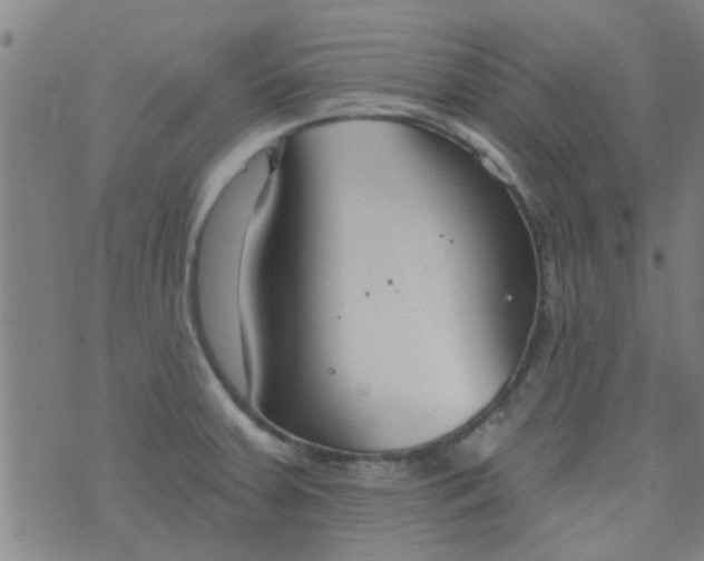 X0000076401379200610202119