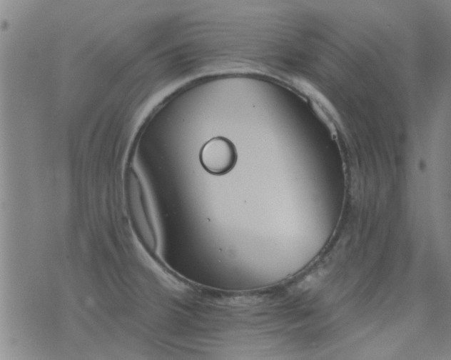 X0000076401380200610202119