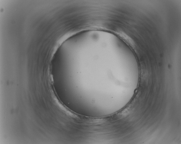 X0000076401382200610202119