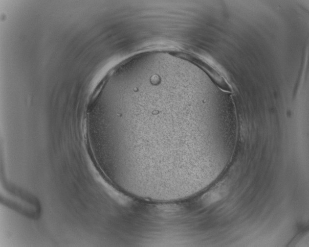 X0000076401383200610202119