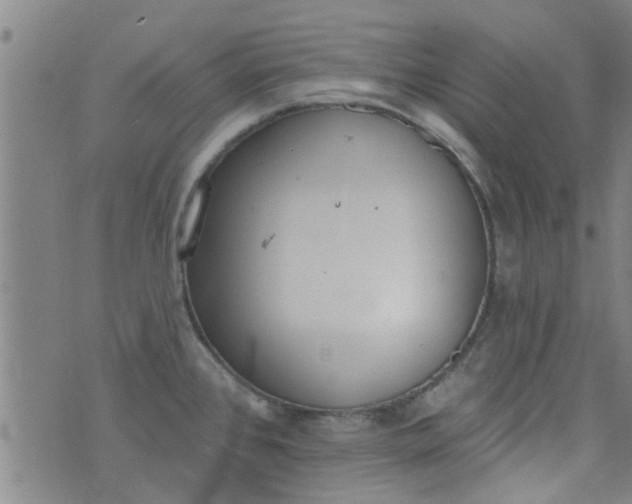 X0000076401384200610202119