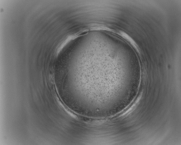 X0000076401385200610202119