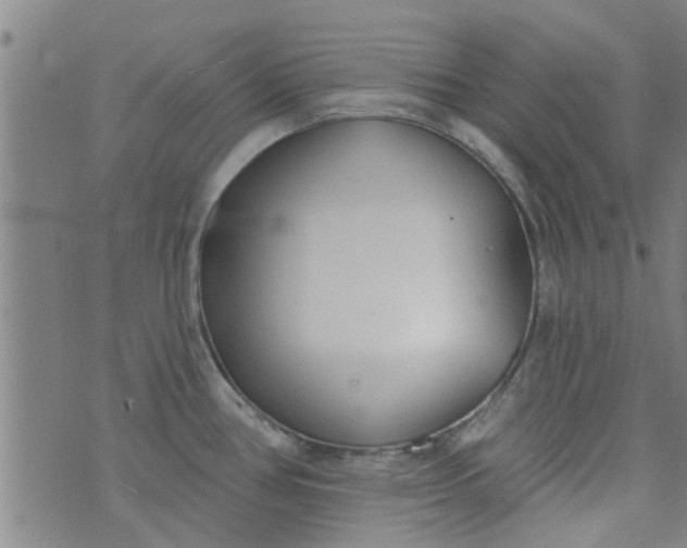 X0000076401386200610202119