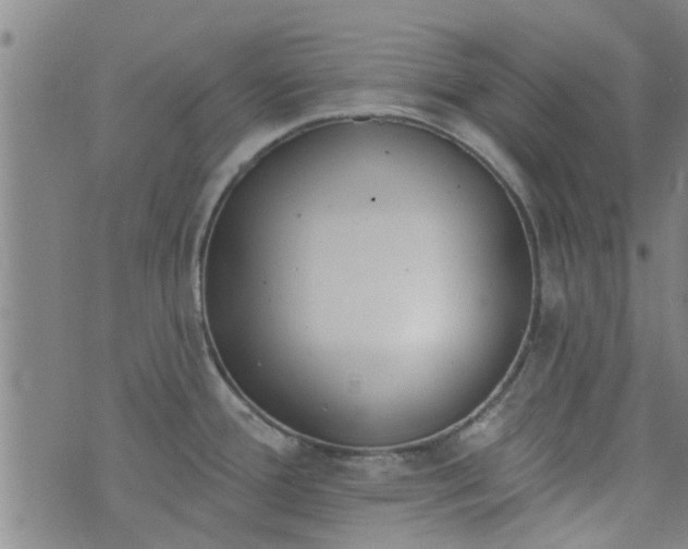 X0000076401388200610202119