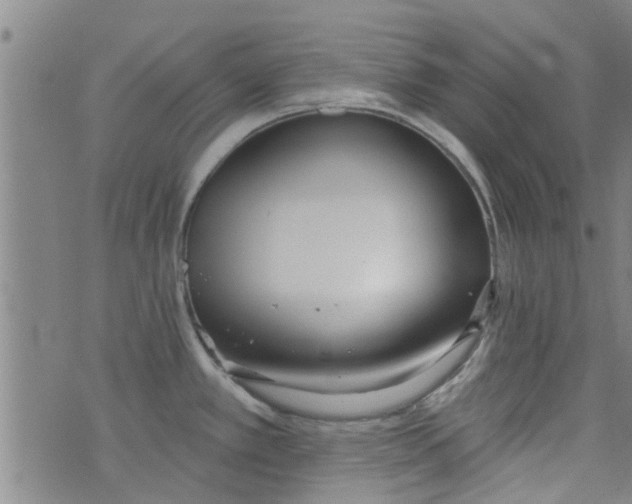 X0000076401389200610202119