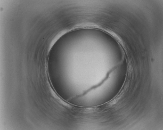 X0000076401390200610202119