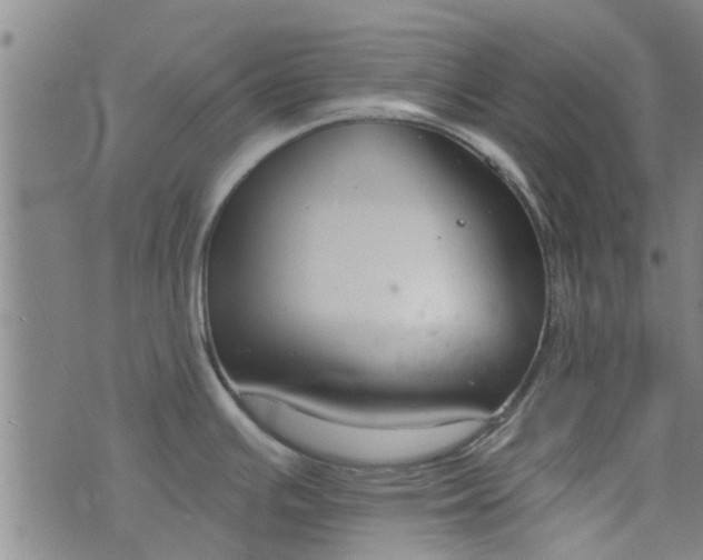 X0000076401391200610202119