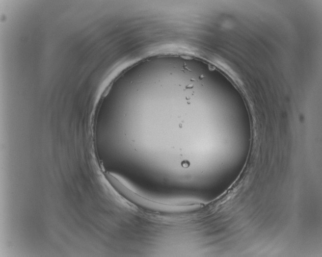 X0000076401392200610202119