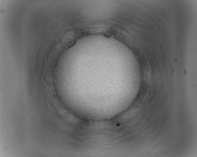 X0000076401393200610202118