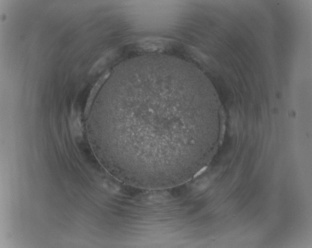 X0000076401394200610202118