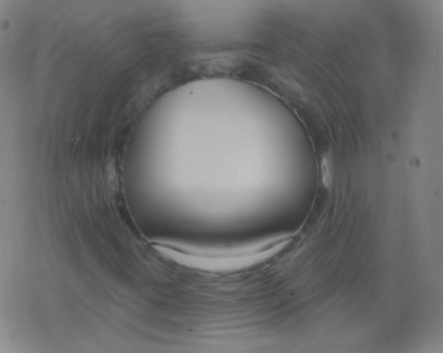 X0000076401395200610202118