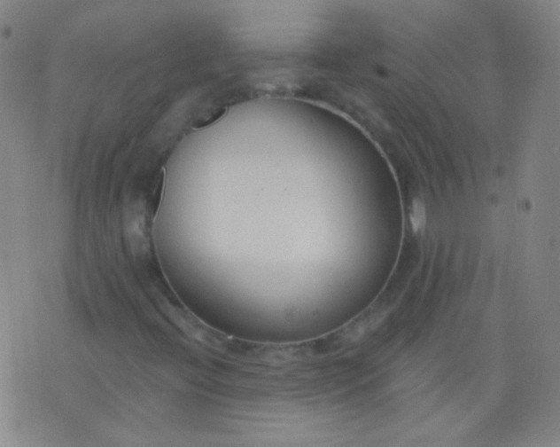 X0000076401396200610202118