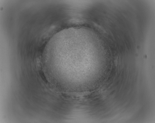 X0000076401397200610202118