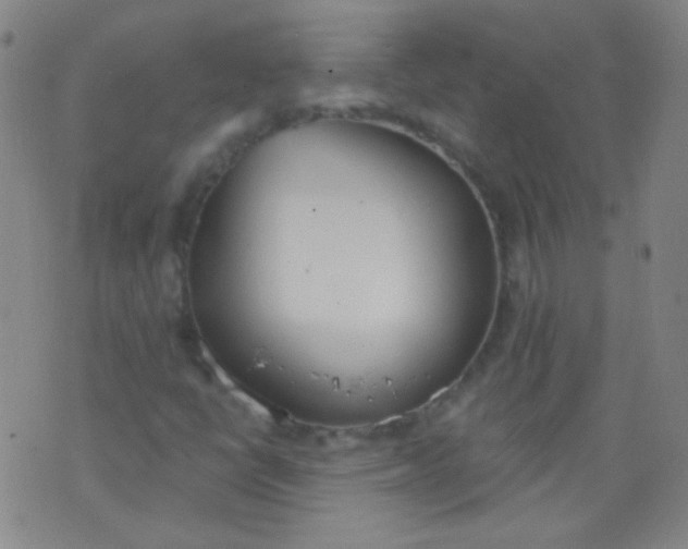 X0000076401398200610202118