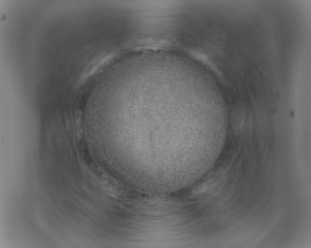 X0000076401399200610202118