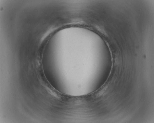 X0000076401400200610202118