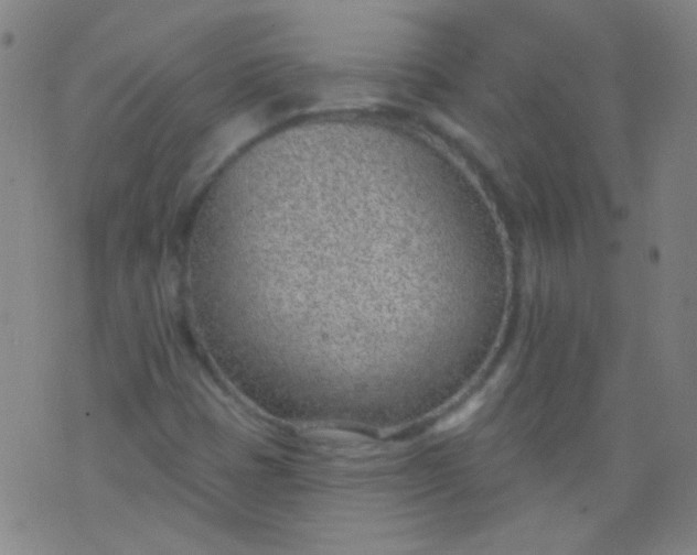 X0000076401401200610202118