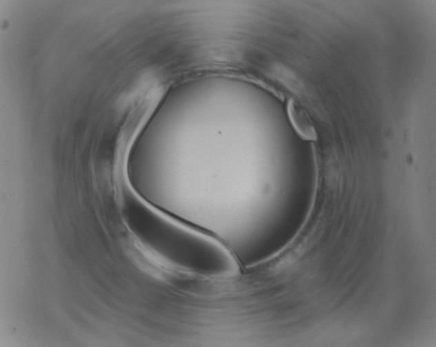 X0000076401402200610202118