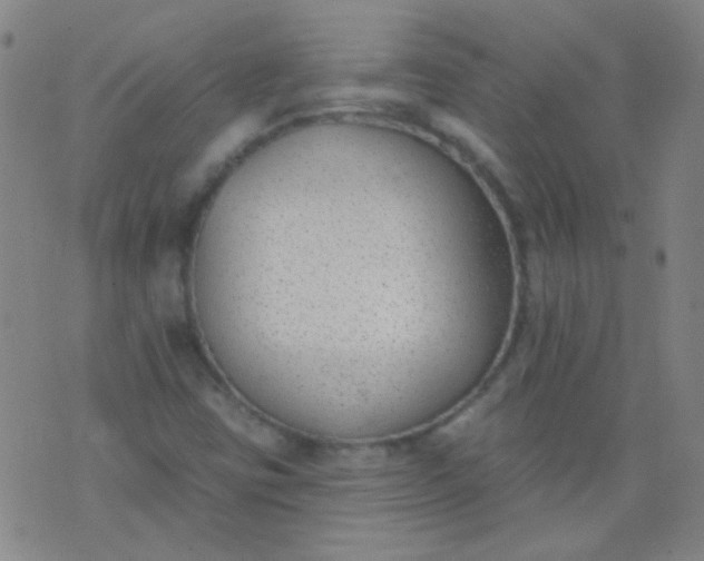 X0000076401403200610202118