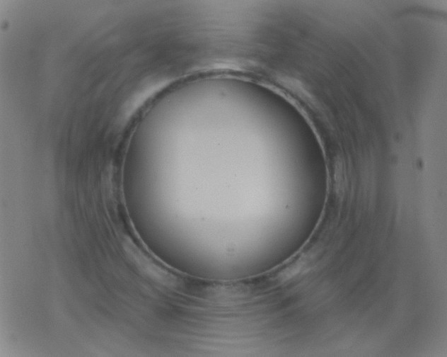 X0000076401404200610202118