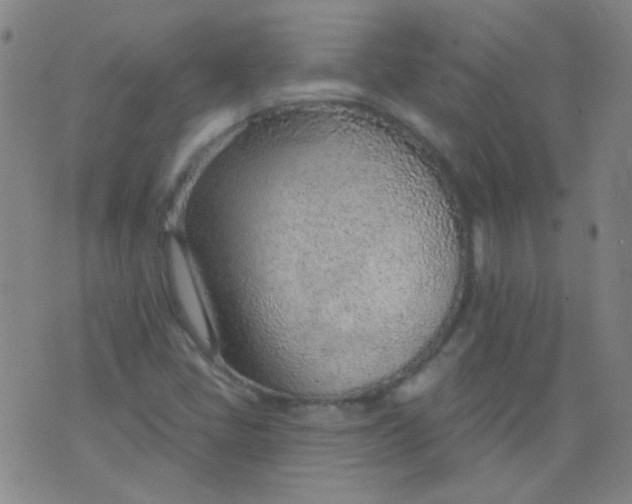 X0000076401405200610202118