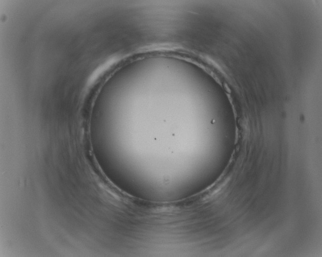 X0000076401406200610202118