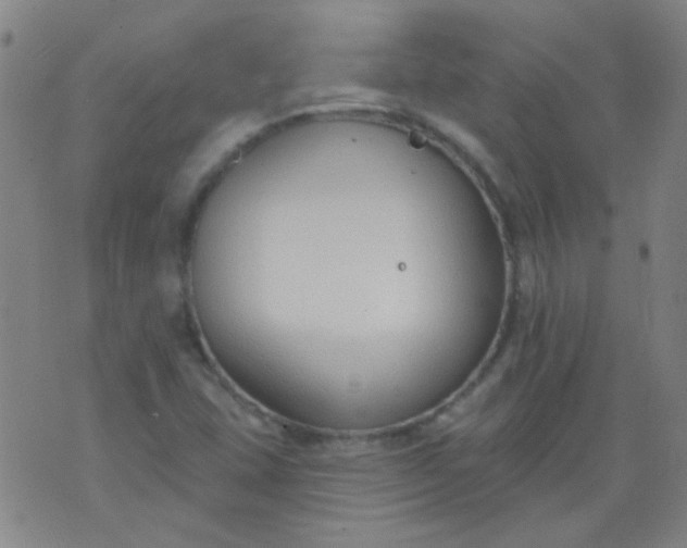 X0000076401407200610202118