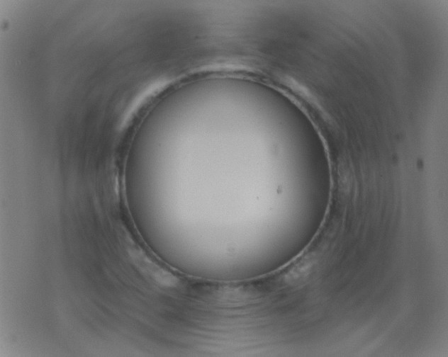 X0000076401408200610202118