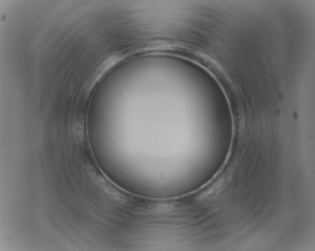 X0000076401409200610202118