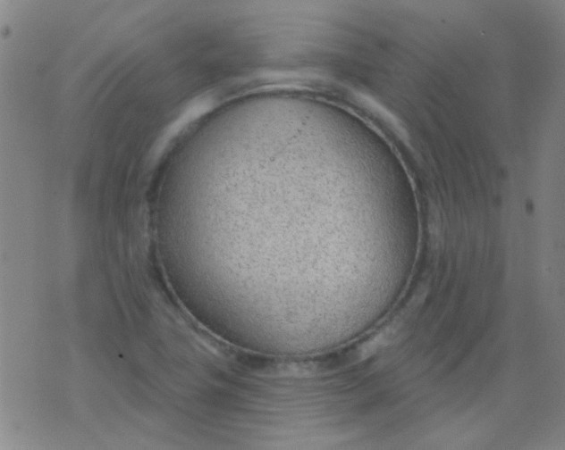 X0000076401411200610202118