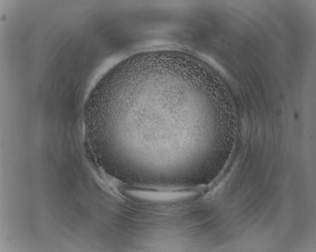 X0000076401413200610202118