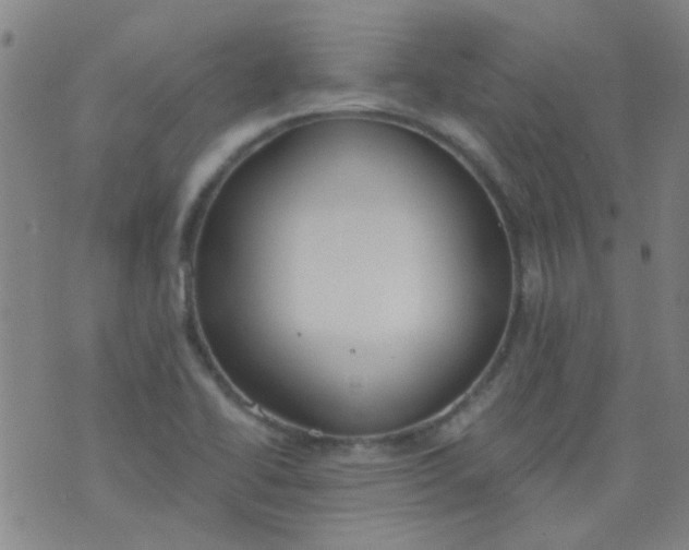 X0000076401414200610202118