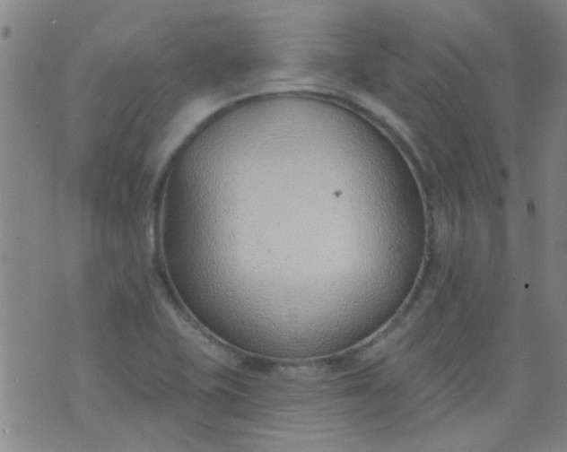 X0000076401415200610202118