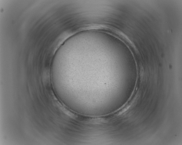 X0000076401417200610202118