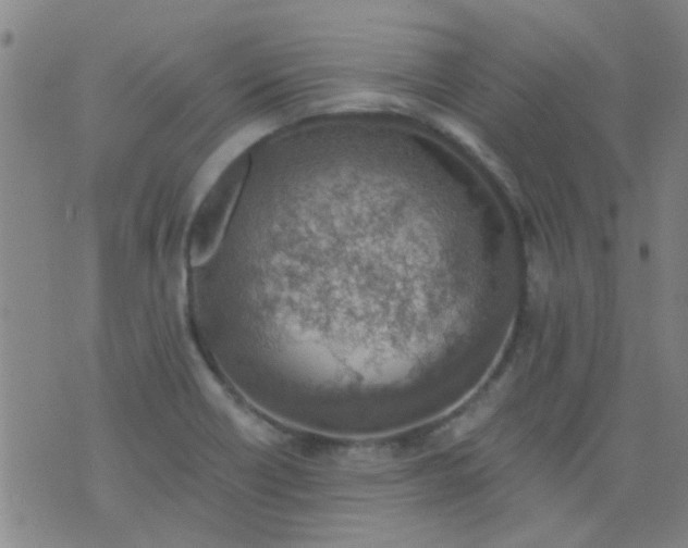 X0000076401418200610202118