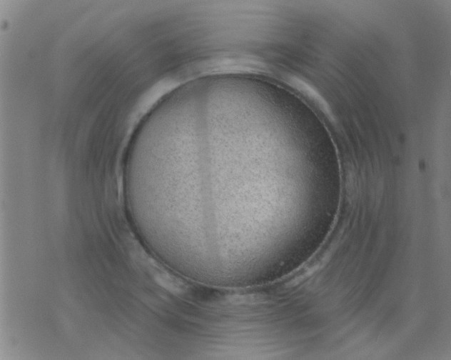 X0000076401419200610202118