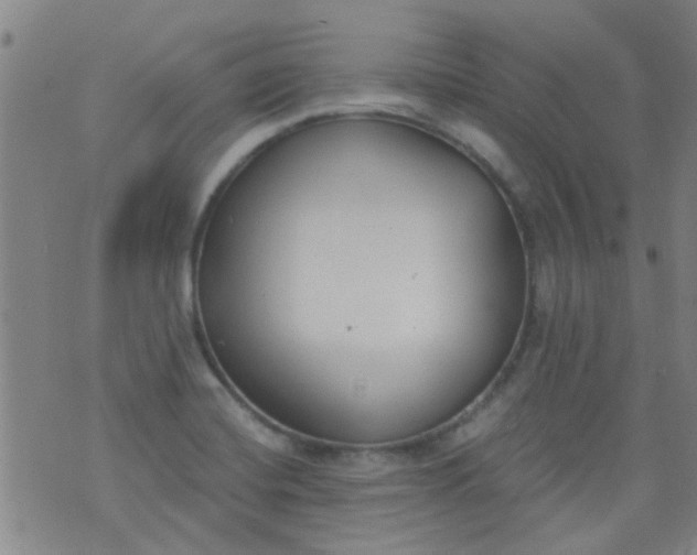 X0000076401420200610202118