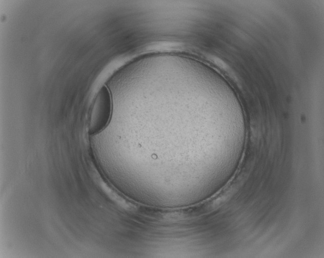 X0000076401421200610202118