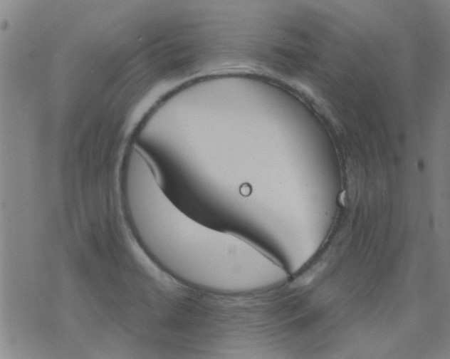 X0000076401422200610202118