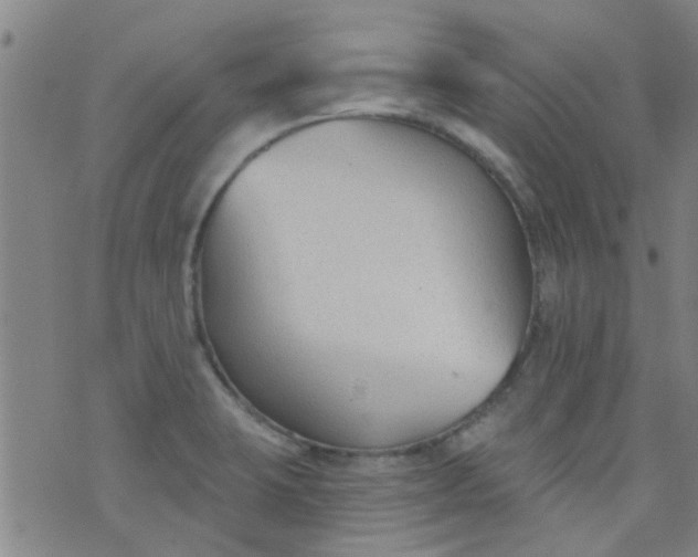 X0000076401423200610202118