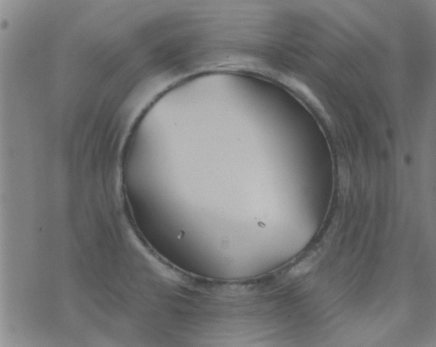 X0000076401424200610202118